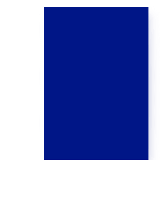tulipinternational