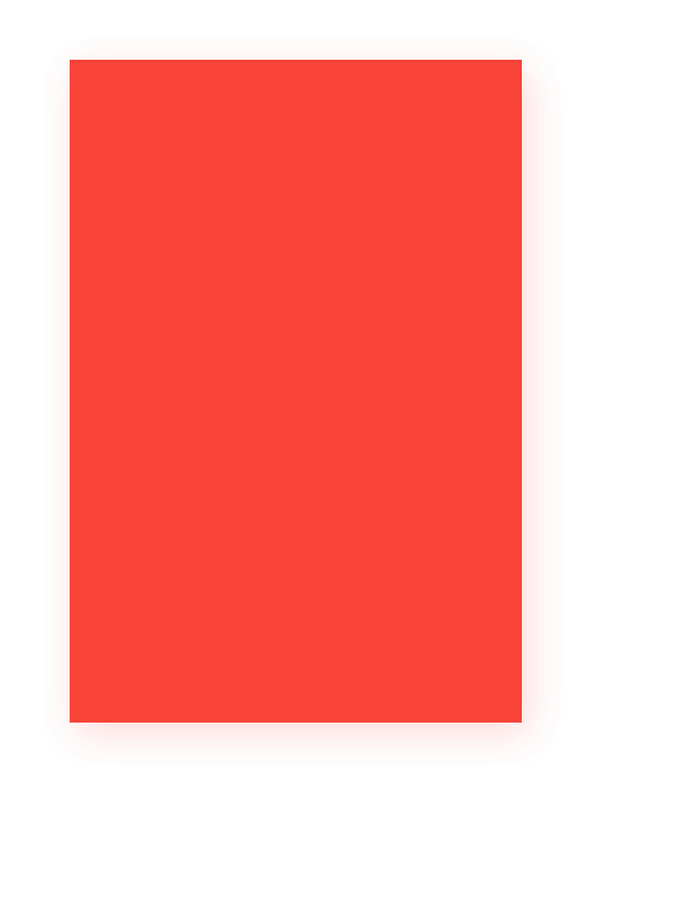 tulipinternational